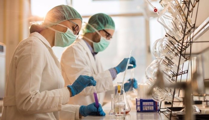 WhatsApp Image 2024-05-12 at 1.37.34 PM
